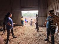 Kara Seva at Kembre Farm - Kara Seva Shivir 2025, SCM Shirali - Day 6 (02 Jan 2026) Pictures Courtesy Chitrapur Yuvadhara